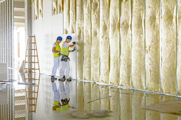 Best Cellulose Insulation in Bourbon, IN